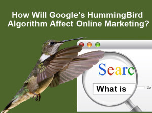 Hummingbird online marketing